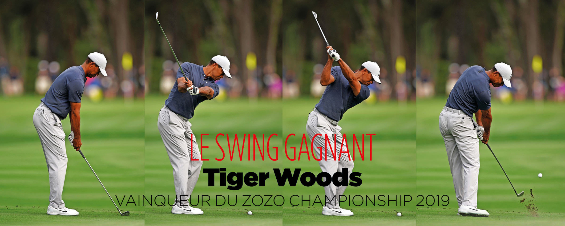 tiger-swing_200